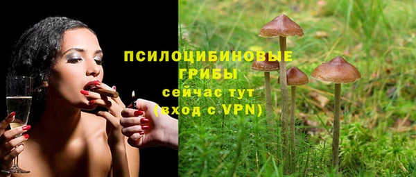 прущий лед Абдулино