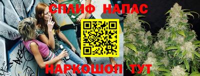 спиды Новоалександровск